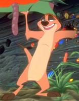 Timon