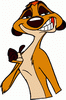 timon01