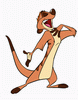 timon2