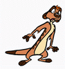 timon3